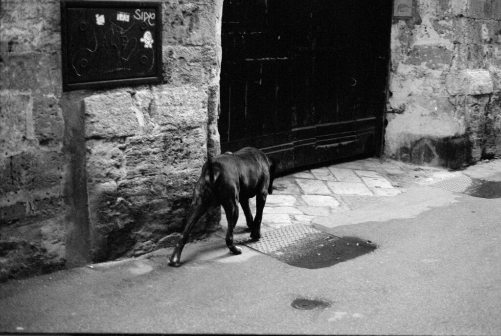 Taranto dettagli città vecchia